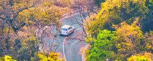 Preview wallpaper road, trees, car, turn, aerial view