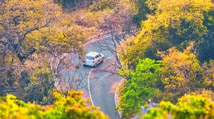Preview wallpaper road, trees, car, turn, aerial view
