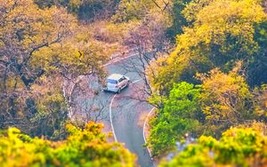 Preview wallpaper road, trees, car, turn, aerial view