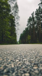 Preview wallpaper road, trees, close-up