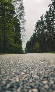 Preview wallpaper road, trees, close-up