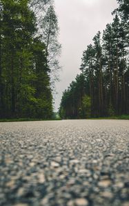 Preview wallpaper road, trees, close-up