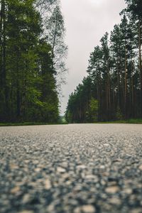 Preview wallpaper road, trees, close-up
