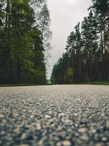 Preview wallpaper road, trees, close-up