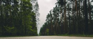 Preview wallpaper road, trees, close-up