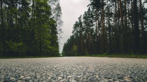 Preview wallpaper road, trees, close-up