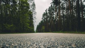 Preview wallpaper road, trees, close-up