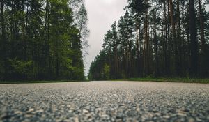 Preview wallpaper road, trees, close-up