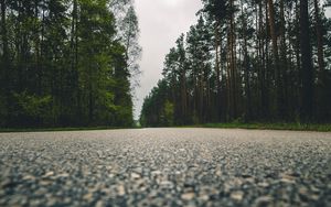 Preview wallpaper road, trees, close-up