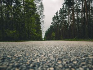 Preview wallpaper road, trees, close-up