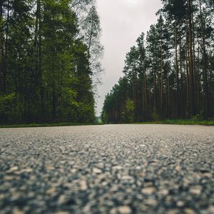 Preview wallpaper road, trees, close-up