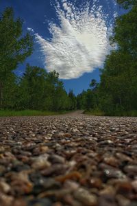 Preview wallpaper road, trees, clouds, distance