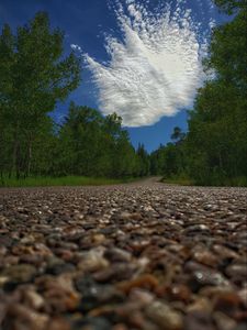 Preview wallpaper road, trees, clouds, distance