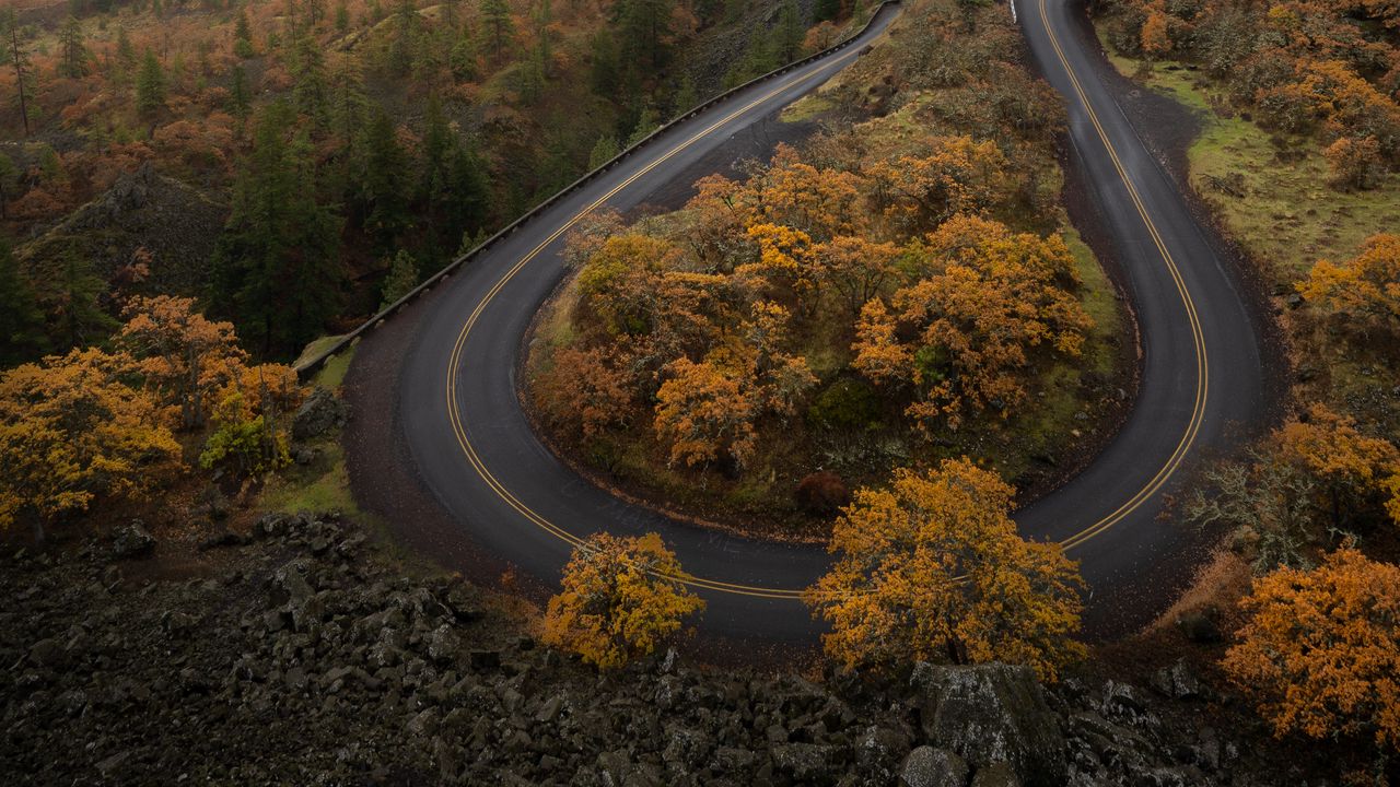 Wallpaper road, trees, curve, autumn, nature