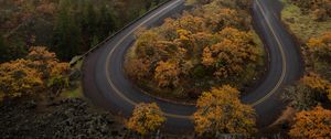 Preview wallpaper road, trees, curve, autumn, nature