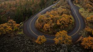 Preview wallpaper road, trees, curve, autumn, nature