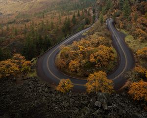 Preview wallpaper road, trees, curve, autumn, nature