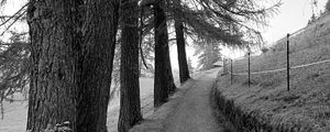 Preview wallpaper road, trees, fence, nature, bw