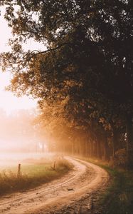 Preview wallpaper road, trees, fog, sunlight, morning, landscape