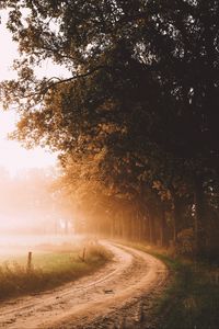 Preview wallpaper road, trees, fog, sunlight, morning, landscape