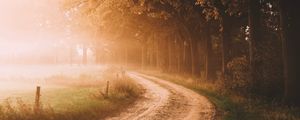 Preview wallpaper road, trees, fog, sunlight, morning, landscape