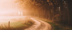 Preview wallpaper road, trees, fog, sunlight, morning, landscape