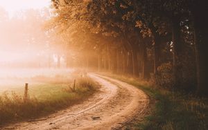 Preview wallpaper road, trees, fog, sunlight, morning, landscape