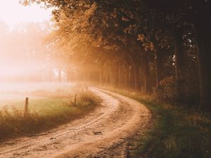 Preview wallpaper road, trees, fog, sunlight, morning, landscape