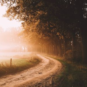 Preview wallpaper road, trees, fog, sunlight, morning, landscape