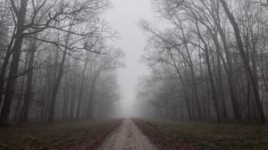 Preview wallpaper road, trees, fog, nature, autumn