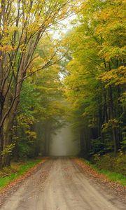 Preview wallpaper road, trees, fog, forest