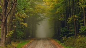 Preview wallpaper road, trees, fog, forest