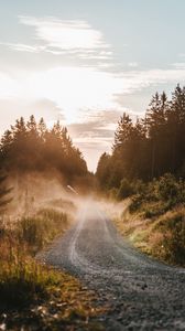 Preview wallpaper road, trees, fog, grass, forest