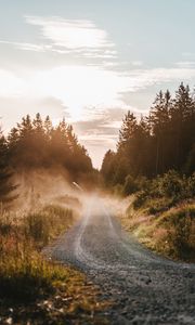 Preview wallpaper road, trees, fog, grass, forest