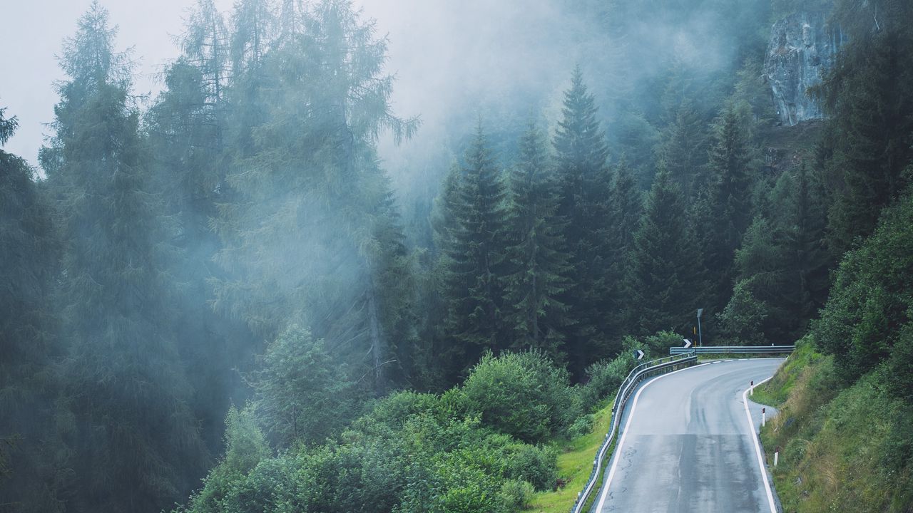 Wallpaper road, trees, fog, slope, nature