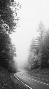 Preview wallpaper road, trees, fog, bw