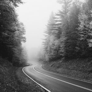 Preview wallpaper road, trees, fog, bw