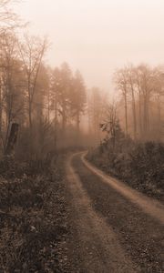 Preview wallpaper road, trees, fog, mist, nature