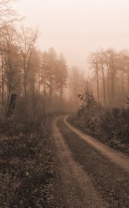 Preview wallpaper road, trees, fog, mist, nature