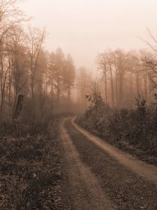 Preview wallpaper road, trees, fog, mist, nature