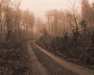 Preview wallpaper road, trees, fog, mist, nature