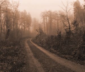 Preview wallpaper road, trees, fog, mist, nature