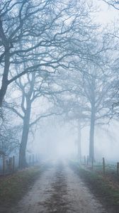 Preview wallpaper road, trees, fog, fence, nature