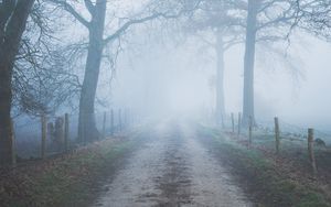 Preview wallpaper road, trees, fog, fence, nature