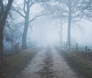 Preview wallpaper road, trees, fog, fence, nature