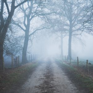 Preview wallpaper road, trees, fog, fence, nature