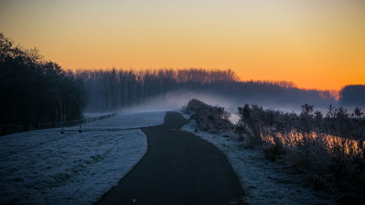 Wallpaper road, trees, fog, twilight, landscape