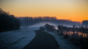 Preview wallpaper road, trees, fog, twilight, landscape