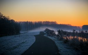 Preview wallpaper road, trees, fog, twilight, landscape