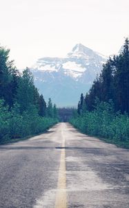 Preview wallpaper road, trees, forest, marking